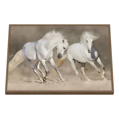 Quadro Decorativo Cavalos Brancos em Galope