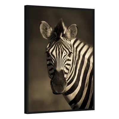 Quadro Decorativo Zebra em Sepia