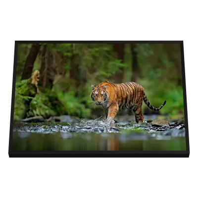 Quadro Decorativo Tigre na Floresta Selvagem