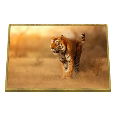 Quadro Decorativo Tigre em Movimento