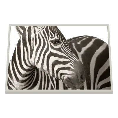 Quadro Decorativo Zebra em Preto e Branco 2