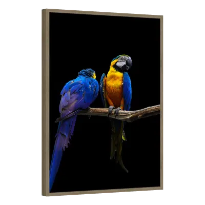 Quadro Decorativo Harmonia das Araras Azuis e Ouro