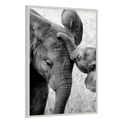 Quadro Decorativo Elefante Materno