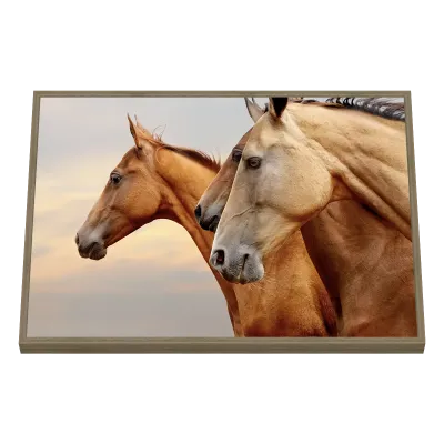 Quadro Decorativo Harmonia Equestre