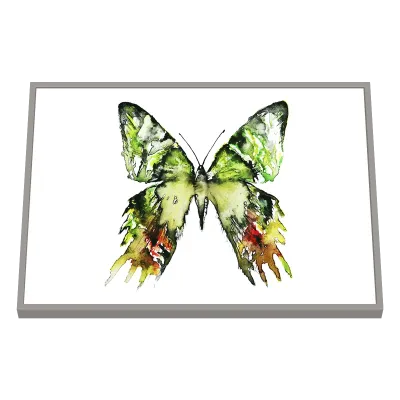 Quadro Decorativo Borboleta Verde Tropical