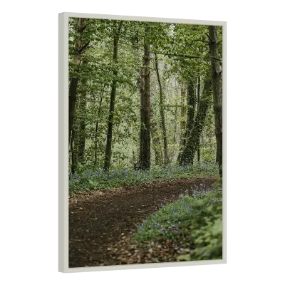 Quadro Decorativo Árvores Caminho da Floresta