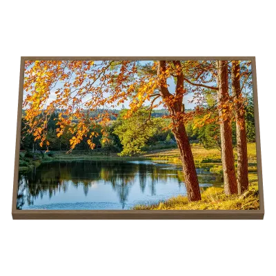 Quadro Decorativo Árvores Reflexos de Outono