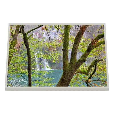 Quadro Decorativo Árvores Cachoeira Serena