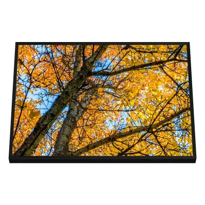 Quadro Decorativo Amber Symphony