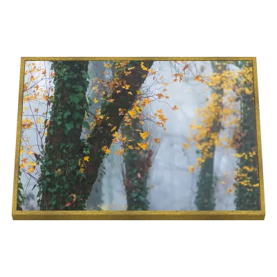 Quadro Decorativo Brume Dorée