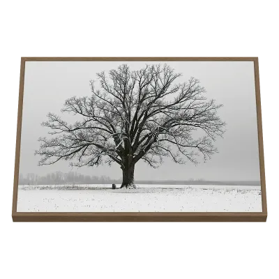 Quadro Decorativo Solitude Blanche