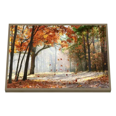 Quadro Decorativo Outono Encantado