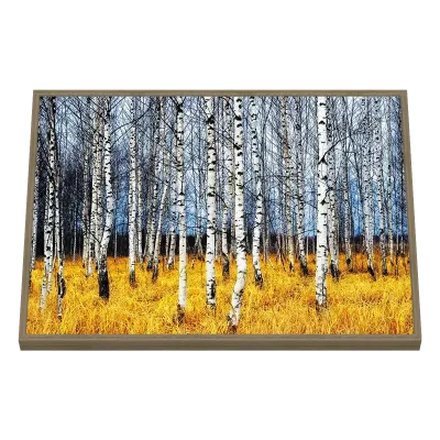 Quadro Decorativo Bosque Dourado