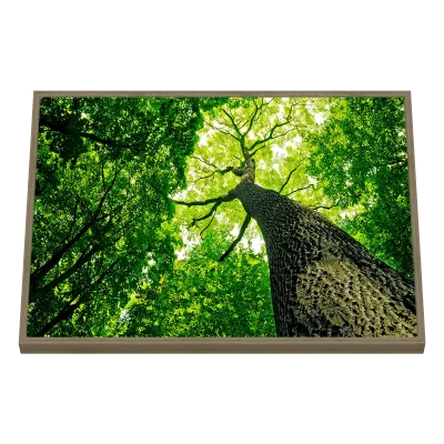 Quadro Decorativo Perspectiva Verde