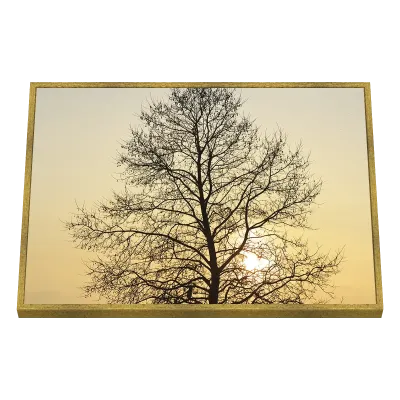 Quadro Decorativo Golden Sunset