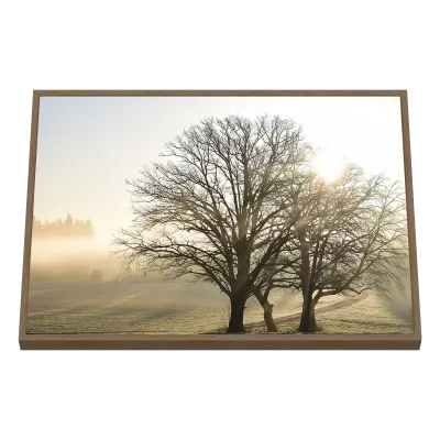 Quadro Decorativo Silhouette Matinale