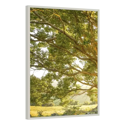 Quadro Decorativo Serenità Verde