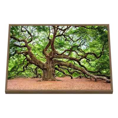 Quadro Decorativo Grandezza Naturale