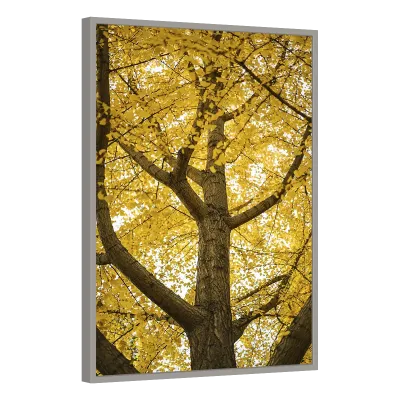 Quadro Decorativo Lumière Dorée