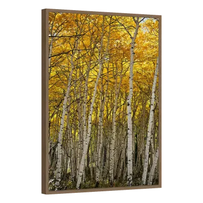 Quadro Decorativo Autumn Symphony