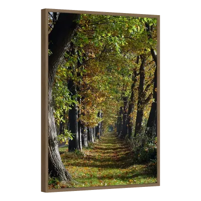 Quadro Decorativo Alameda Dourada