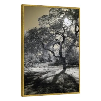 Quadro Decorativo Sombras Eternas