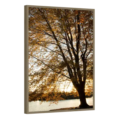 Quadro Decorativo Lumière D'Automne