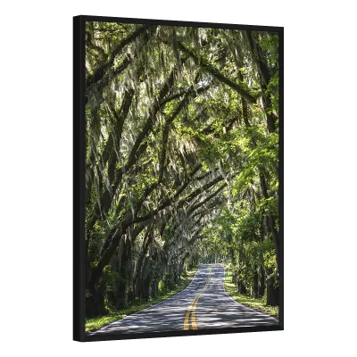 Quadro Decorativo Passage Mystique