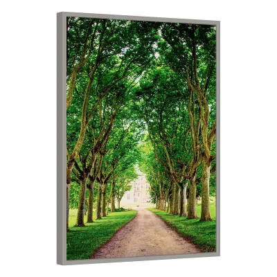 Quadro Decorativo Passage Verte