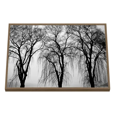 Quadro Decorativo Silhouette Invernal