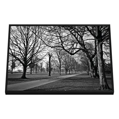 Quadro Decorativo Silhouette Path