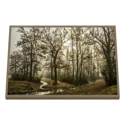 Quadro Decorativo Sentiers Brumeux