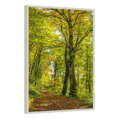 Quadro Decorativo Sentiero Verde