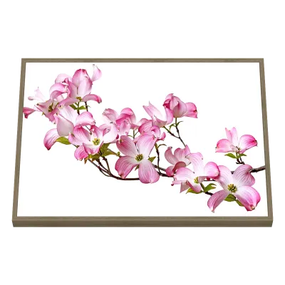 Quadro Decorativo Cerejeira Rosa