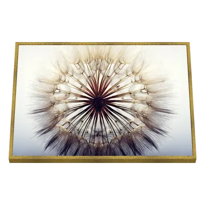 Quadro Decorativo Soffio d'Angelo