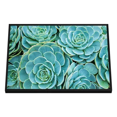 Quadro Decorativo Suculentas Aquarela