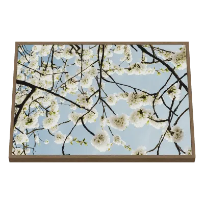 Quadro Decorativo Primavera Etérea