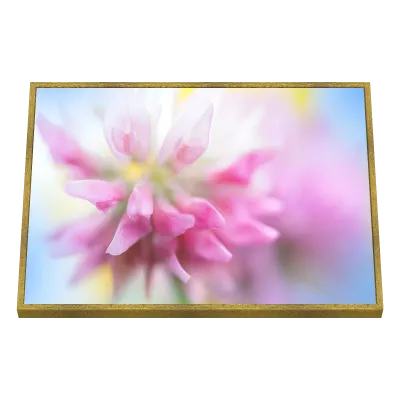 Quadro Decorativo Sonho Rosado