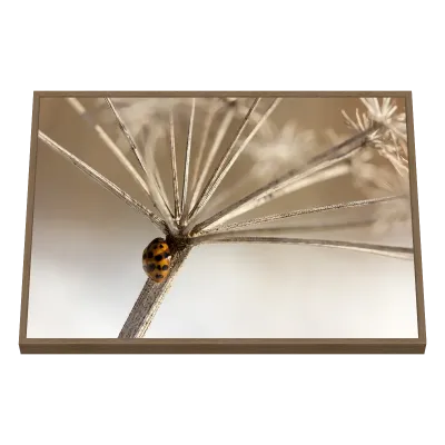 Quadro Decorativo Joaninha Dourada