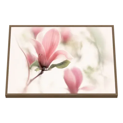 Quadro Decorativo Delicadeza Rosa