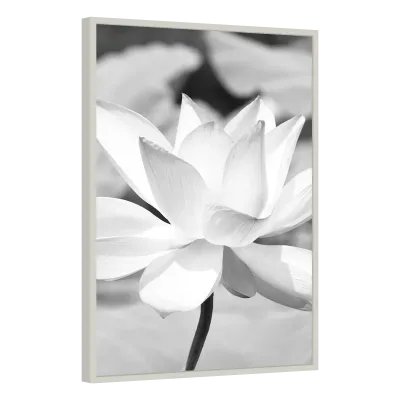 Quadro Decorativo Lótus Zen