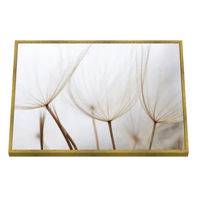 Quadro Decorativo Dentes-de-Leão Etéreos