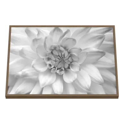 Quadro Decorativo Pétalas em Serenidade