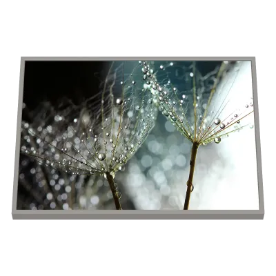 Quadro Decorativo Pétalas de Cristal