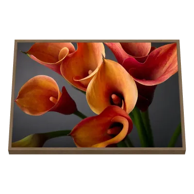 Quadro Decorativo Cálices de Fogo