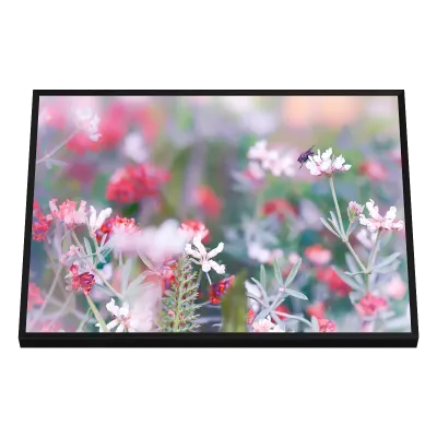 Quadro Decorativo Jardim Onírico