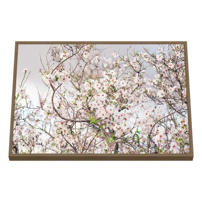 Quadro Decorativo Pétalas ao Vento