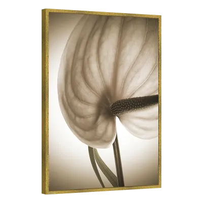 Quadro Decorativo Elegância Sepia