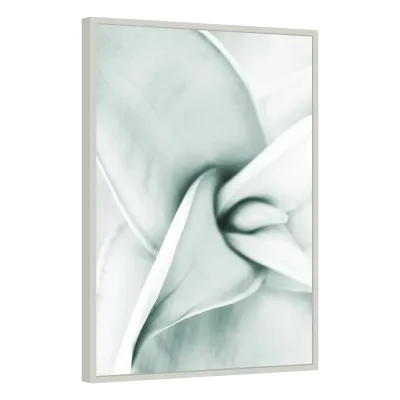 Quadro Decorativo Suave Transparência