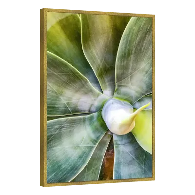 Quadro Decorativo Coração Vegetal